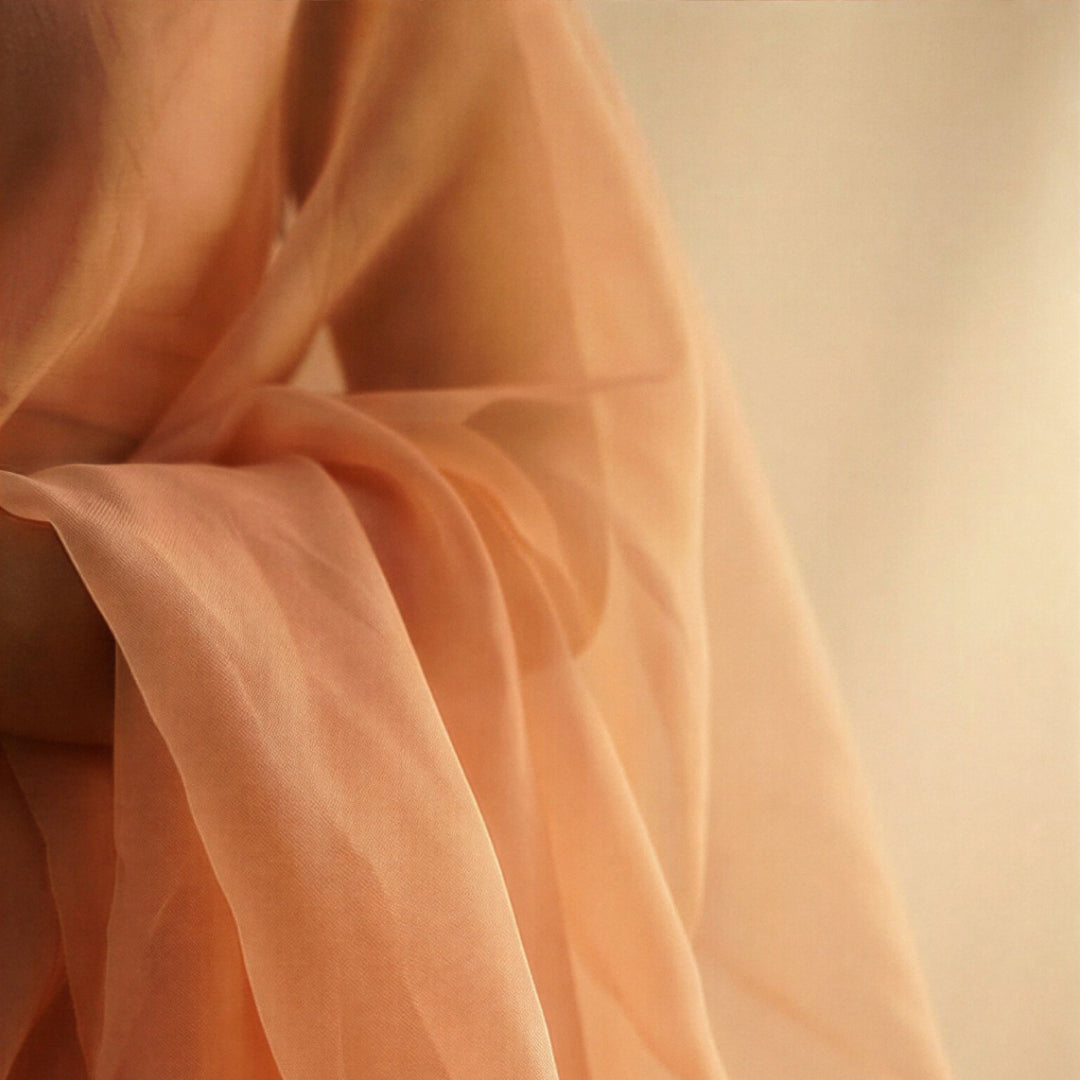 Beige Organza Silk Saree