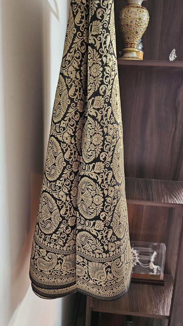 Black - Gold Banarasi Moonga Tissue Saree